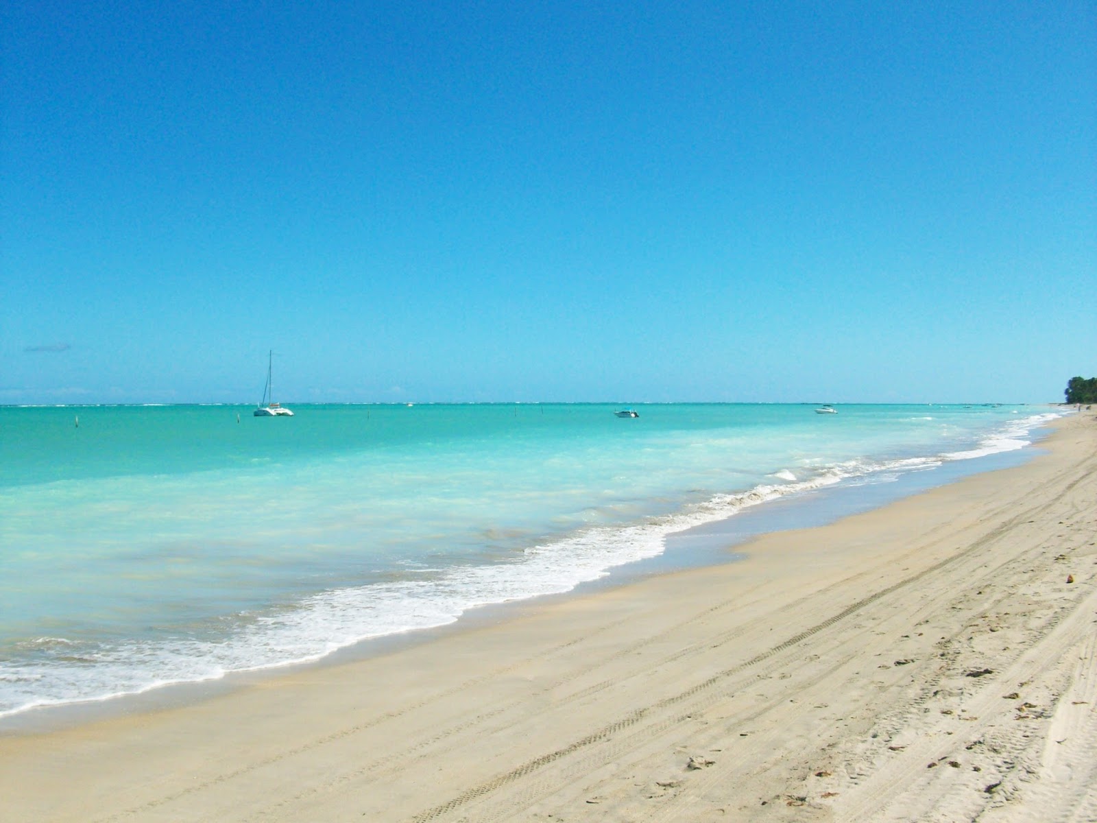 Praia Do Peroba (Maragogi – AL): Tudo O Que Você Precisa Saber Antes De ...